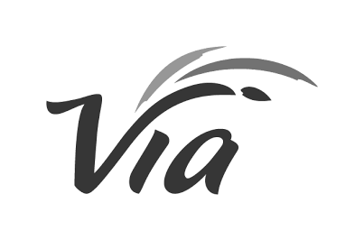 Via Mobility